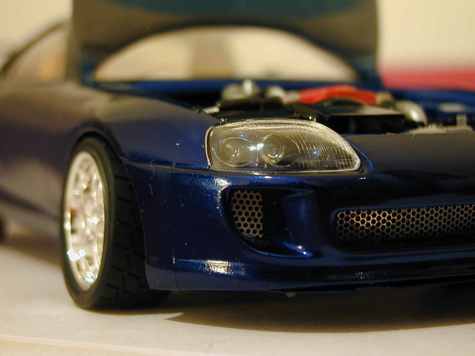 supra 5.JPG