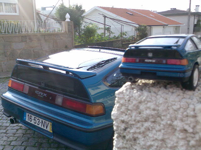Img002.jpg