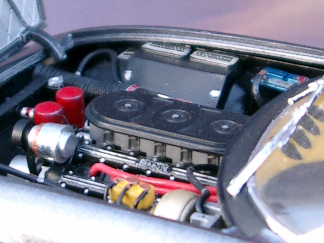CIMG0651.JPG