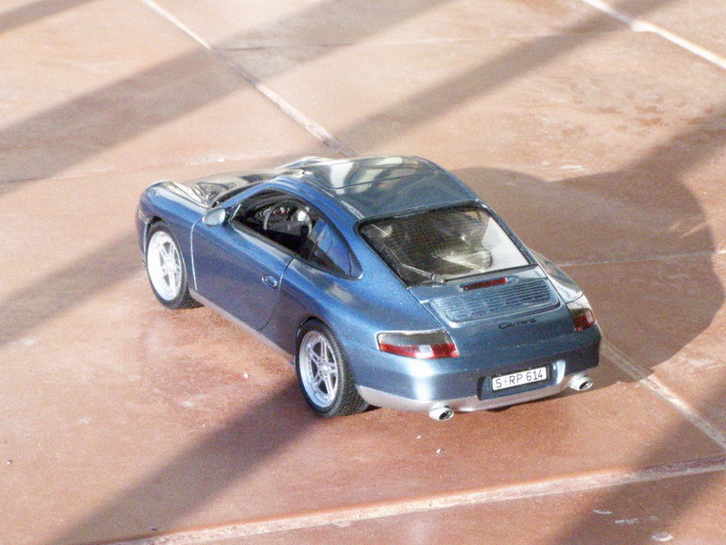 100_7225_resize.JPG