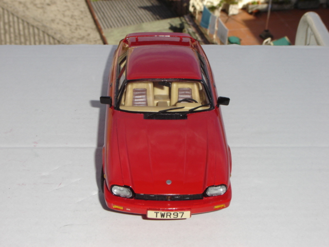 DSC08765.JPG