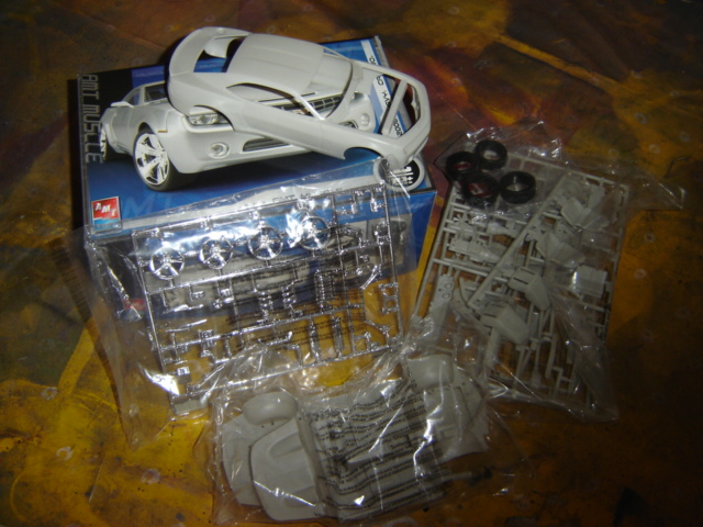 DSC08780.JPG