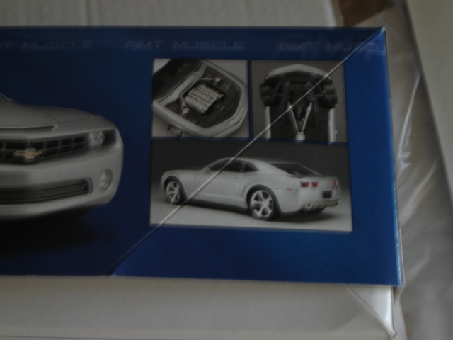 DSC08773.JPG