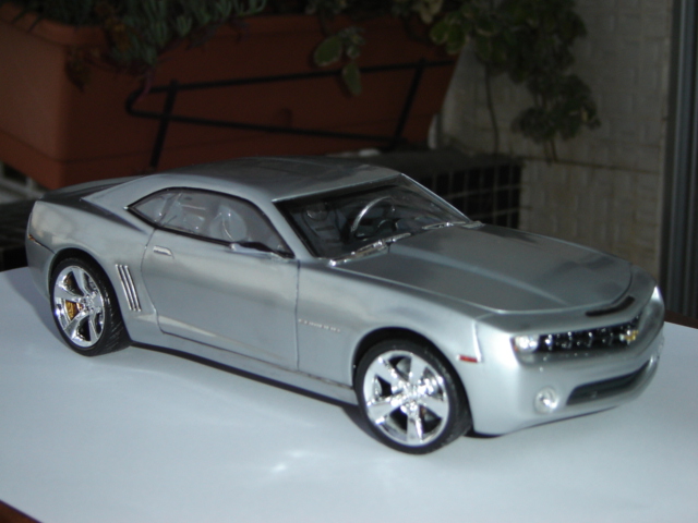 DSC08828.JPG