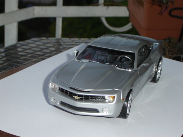 DSC08818.JPG