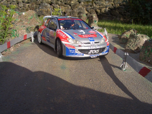 fotos miniaturas 315.jpg