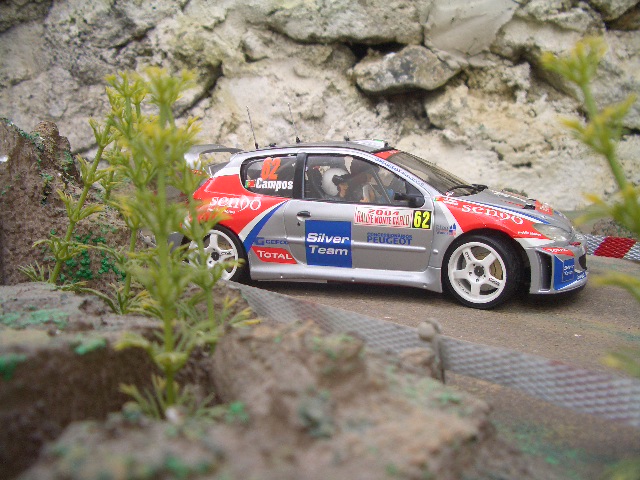 fotos miniaturas 317.jpg
