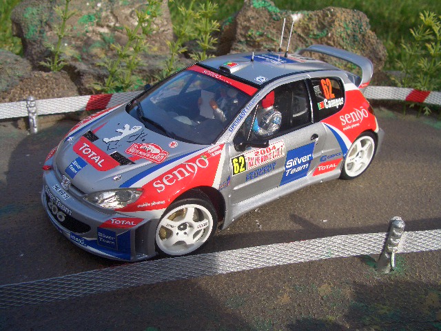 fotos miniaturas 316.jpg