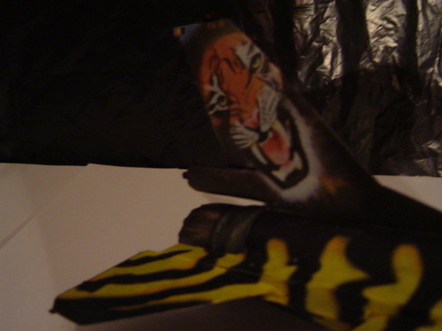 DSC01554.JPG