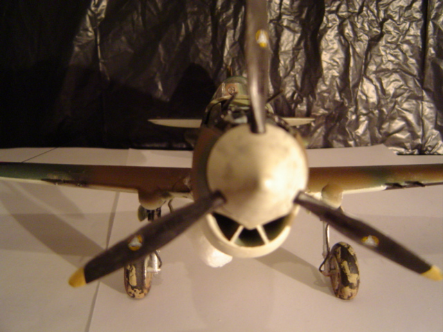 DSC01581.JPG