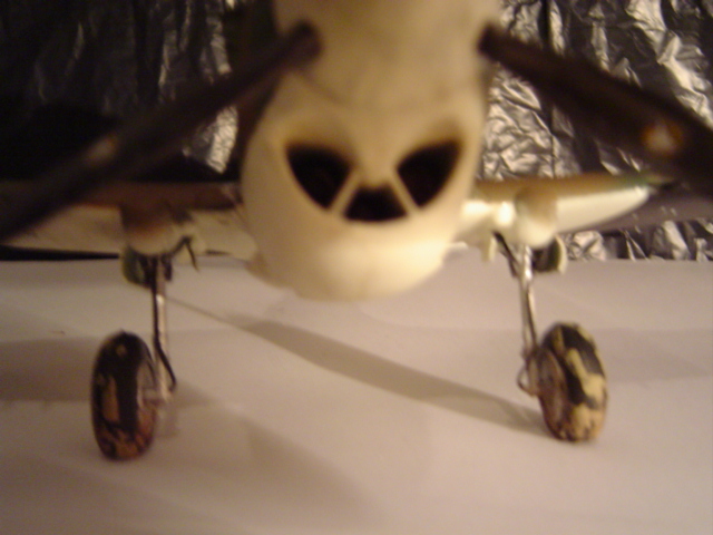 DSC01589.JPG
