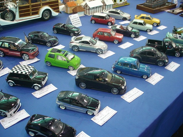 Modelos Juniores