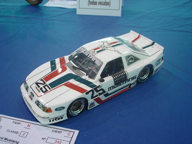 ModelScala 2007 295m.jpg