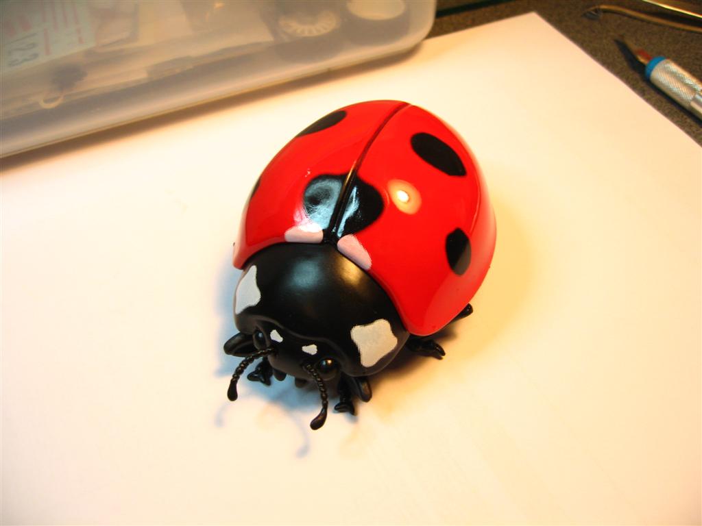 IMG_7000 (Large).JPG