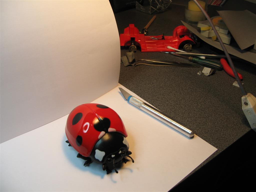 IMG_6999 (Large).JPG