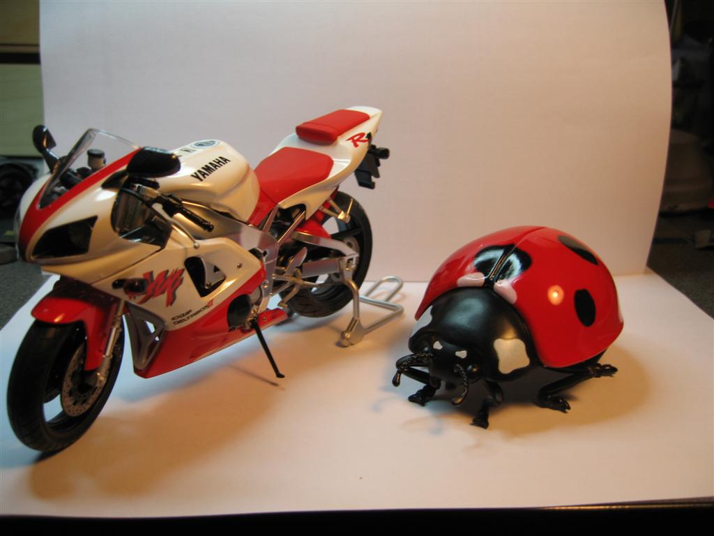 IMG_6997 (Large).JPG