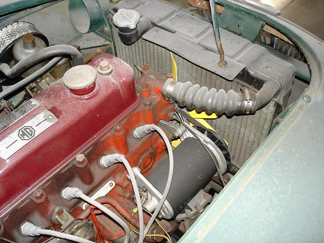 fotos 034.jpg