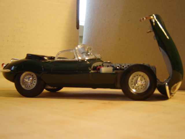 DSC00009a.JPG