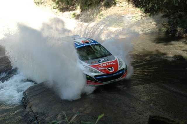 DSC_6221.jpg