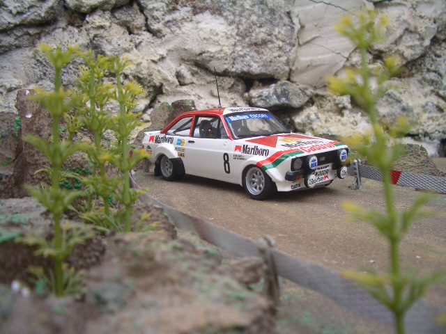 CIMG6911.jpg