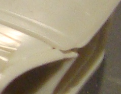 DSC03451_capo.JPG