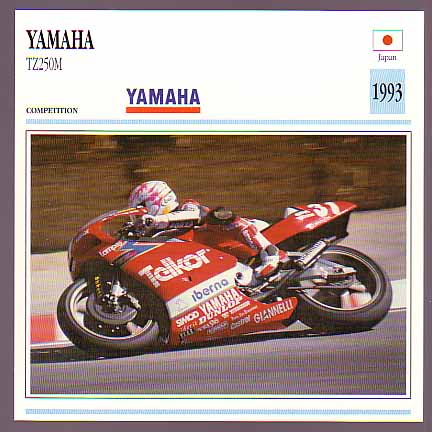 yamtz250m.jpg
