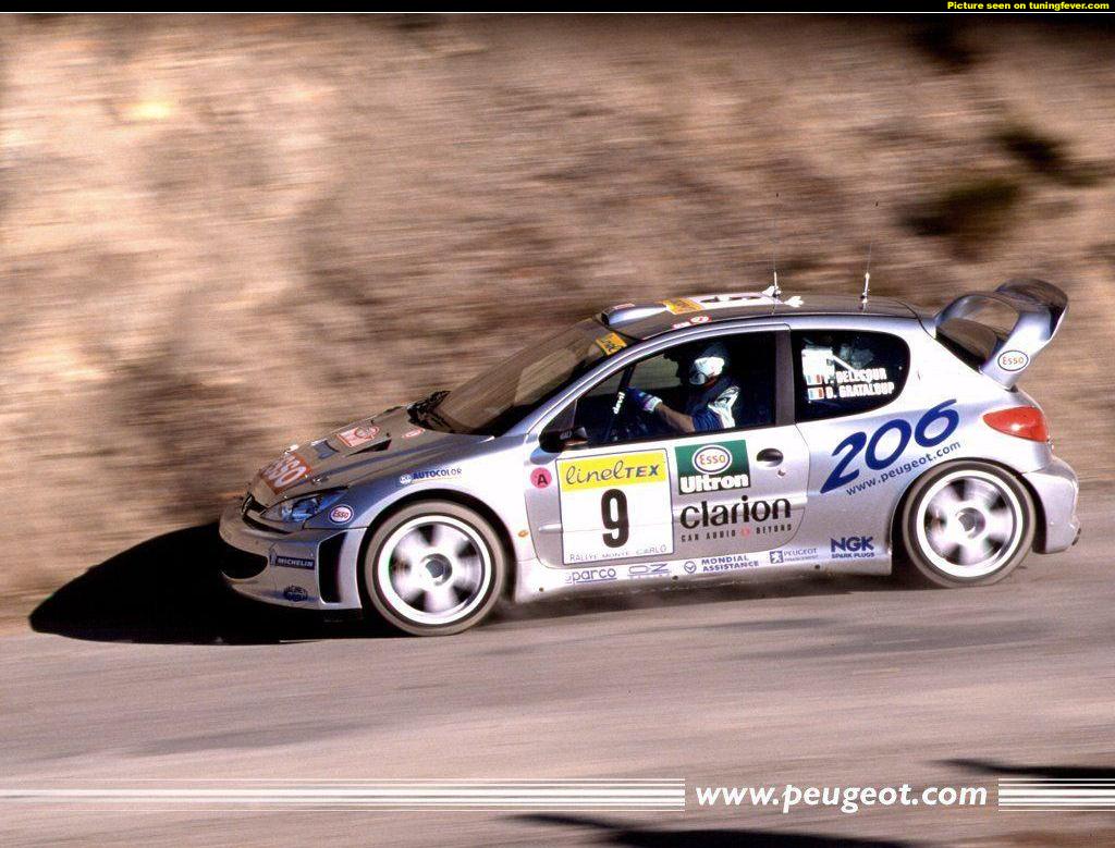 pics-max-16204-336767-peugeot-206-wrc.jpg