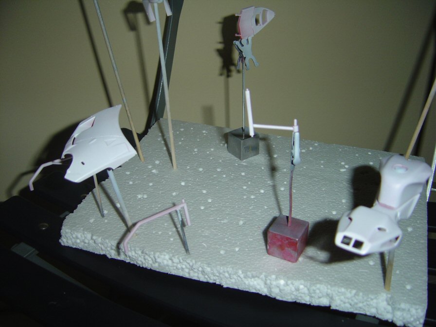 duc04.jpg