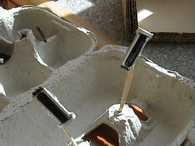 DSC00025.JPG