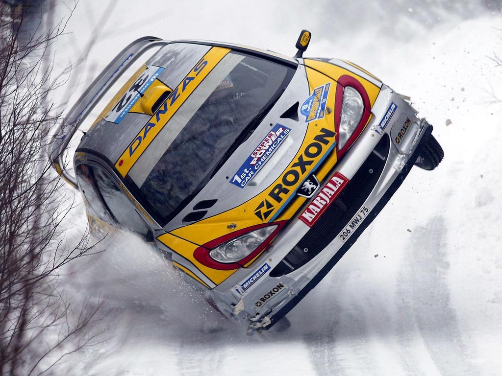 Peugeot_206_WRC.jpg