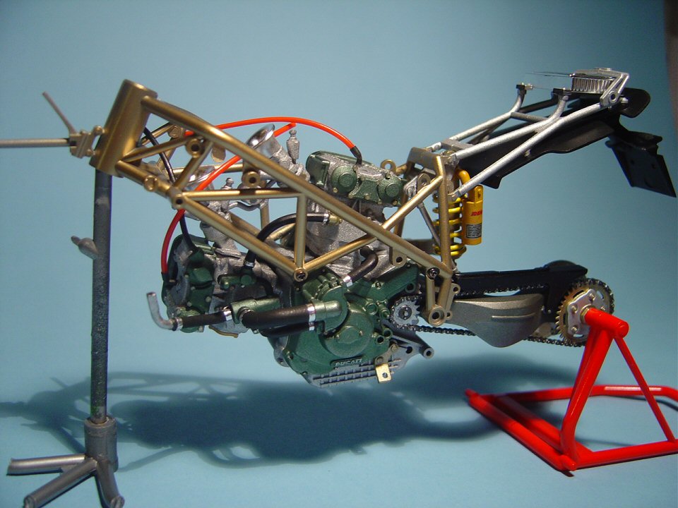 duc25.jpg
