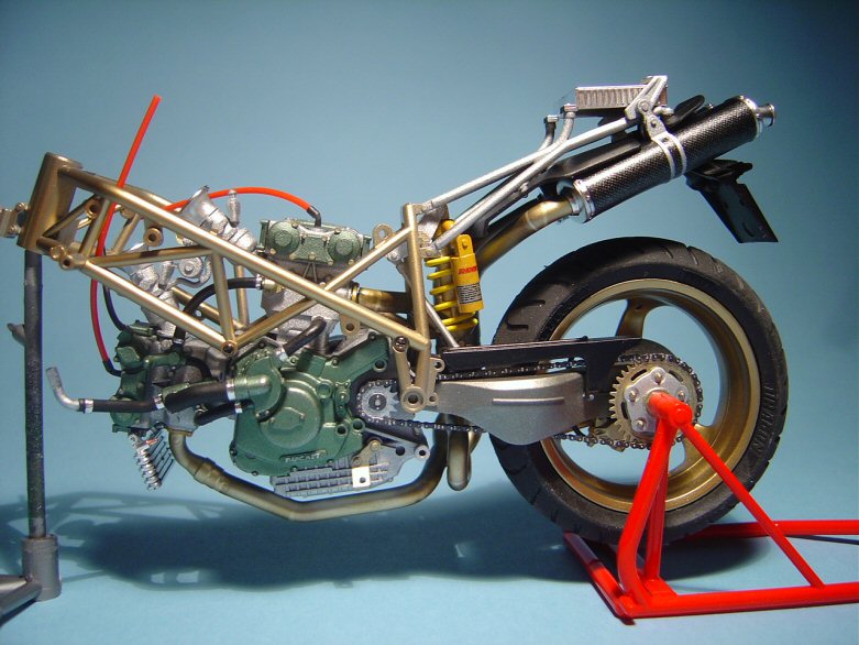 duc30.jpg