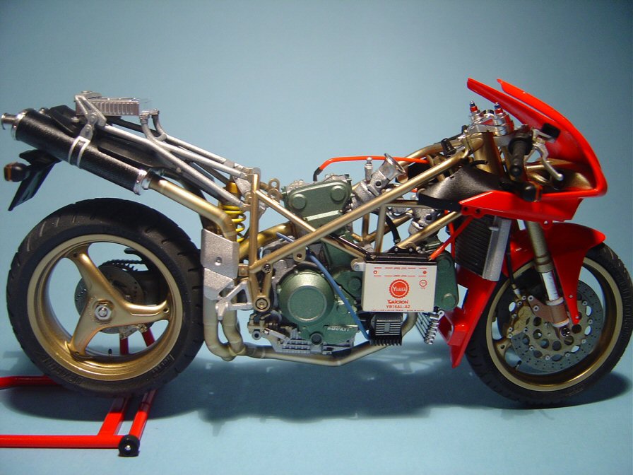 duc32.jpg