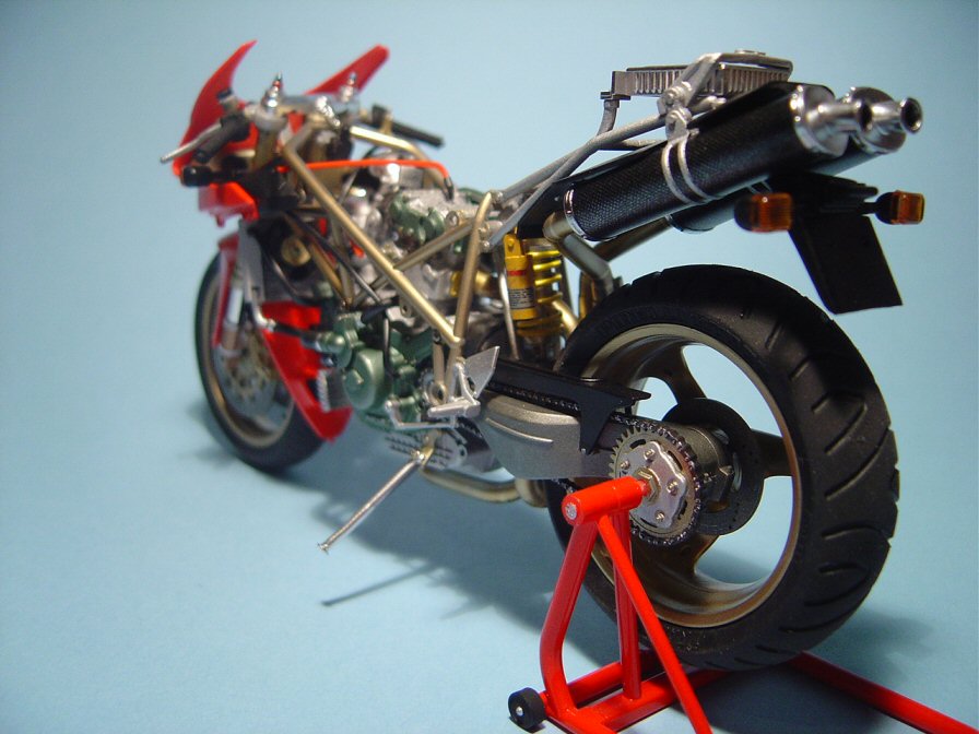 duc33.jpg