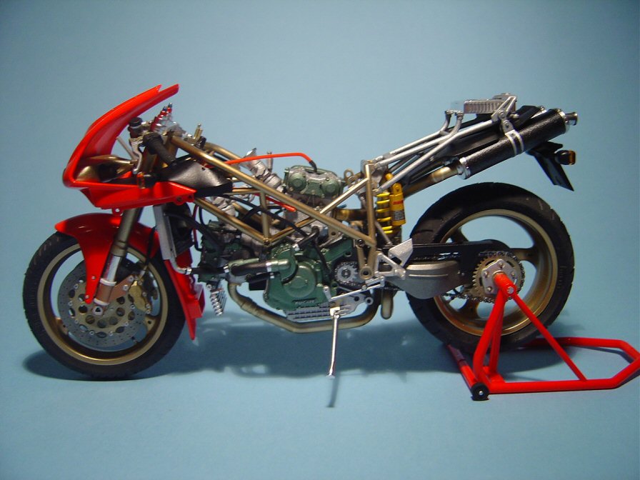 duc34.jpg
