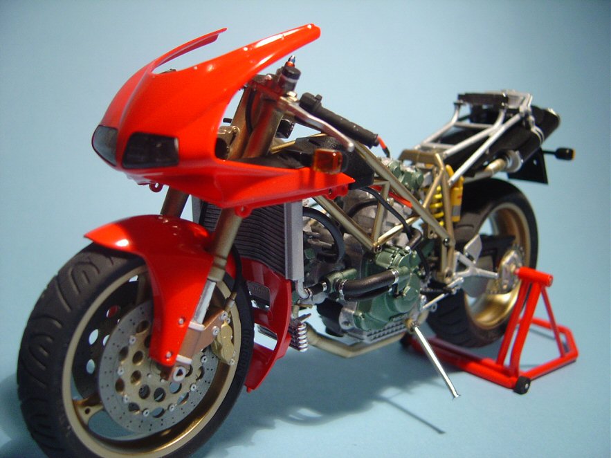 duc35.jpg