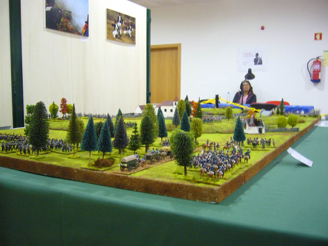 P1050307.jpg