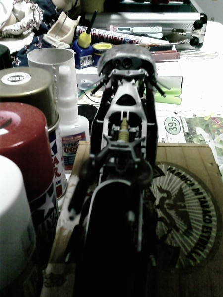 IMAGE_241 [800x600].jpg