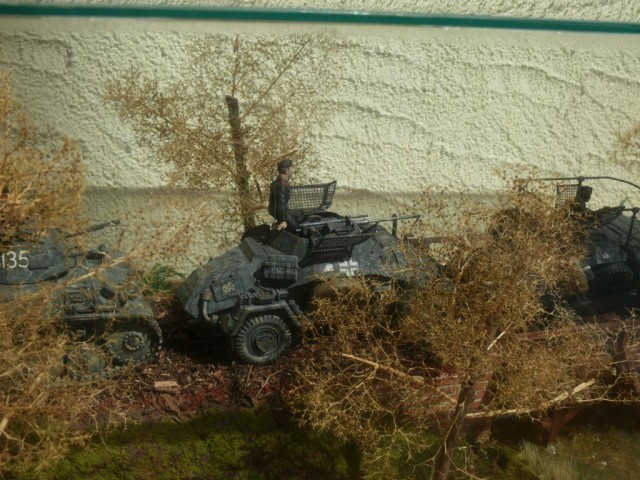 Dioramas (1).JPG