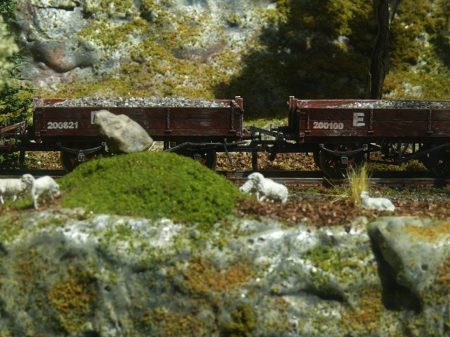 Dioramas (2).JPG