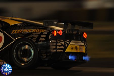 Preview-5015.jpg