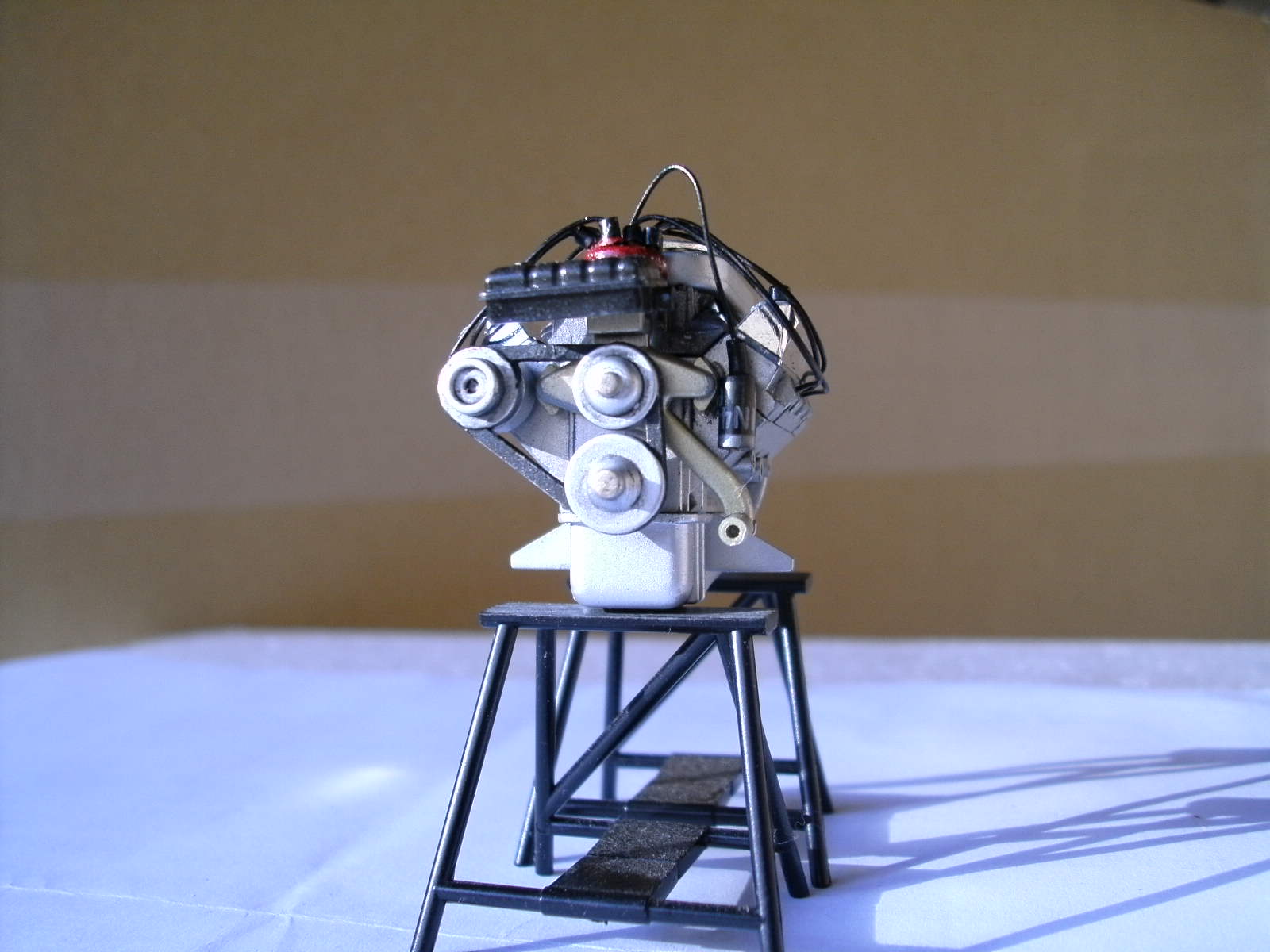 PICT1538.JPG