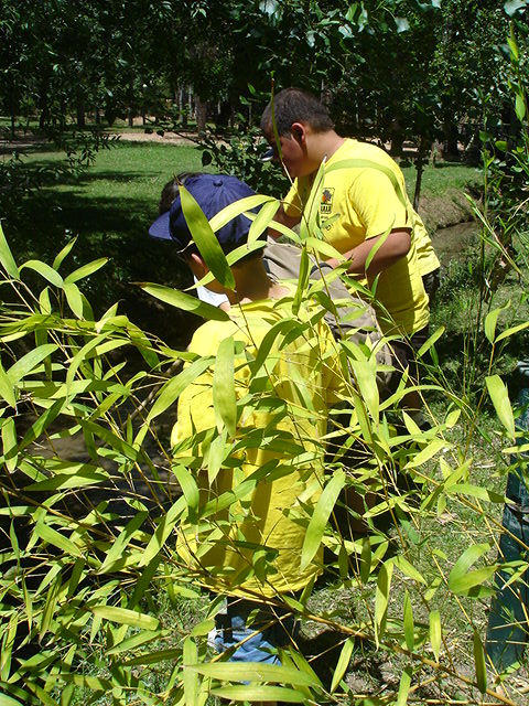 Réplica 2009 VGA 020.jpg
