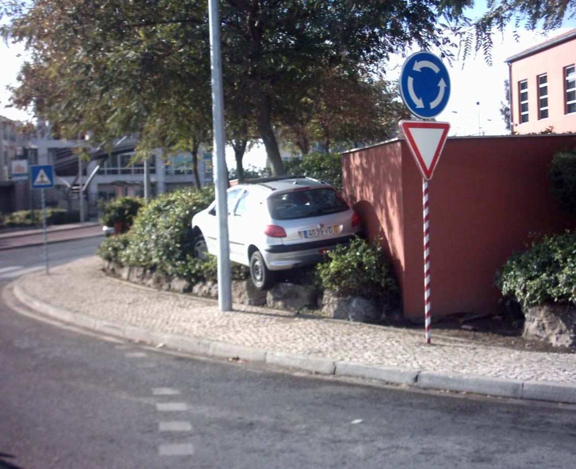 206.jpg