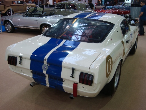DSC06706.JPG