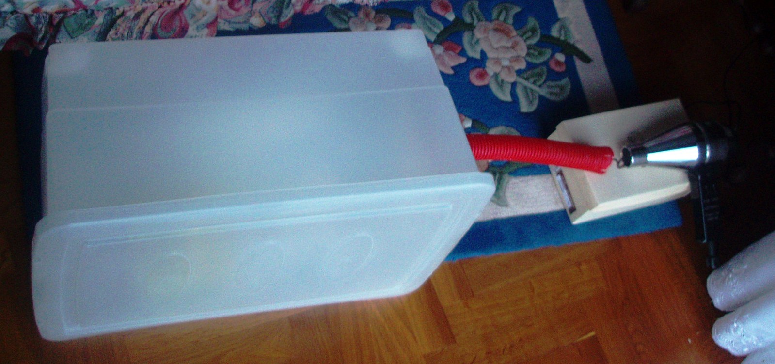 P1060004.JPG