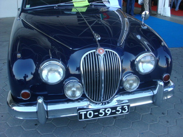 AUTOMOBILIA 259.jpg