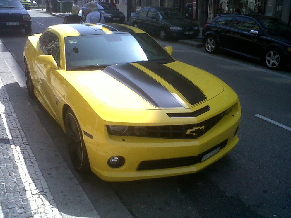 IMG01377-20110915-1254.jpg