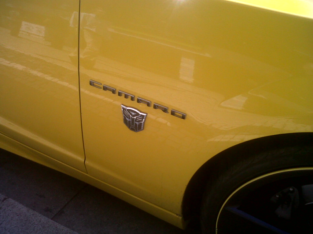 IMG01378-20110915-1254.jpg