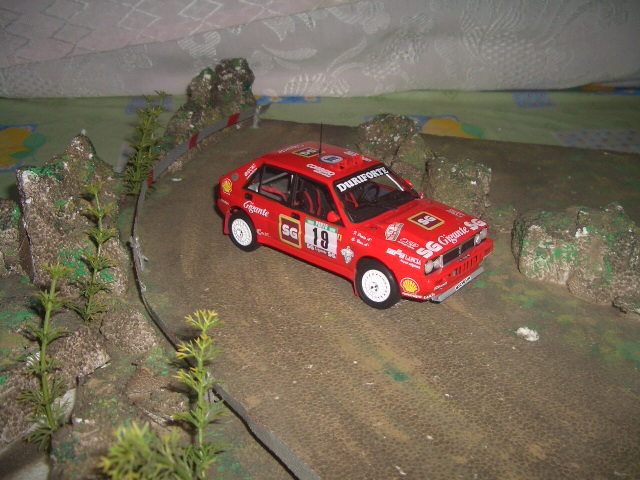 CIMG0450.JPG